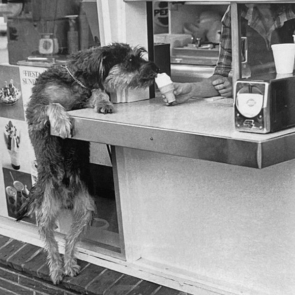 Quote Unquote All Occasions Card by Borealis Press - Picture 7 of 13